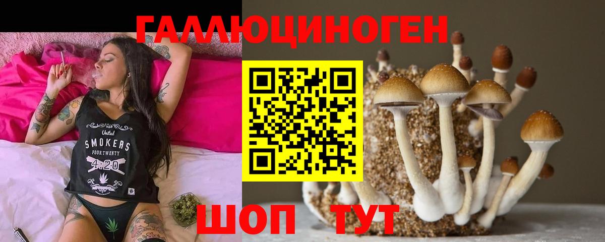 Лысьва  Галлюциногенные грибы Psilocybine cubensis  Вход с VPN  Галлюциногенные грибы Psilocybe 